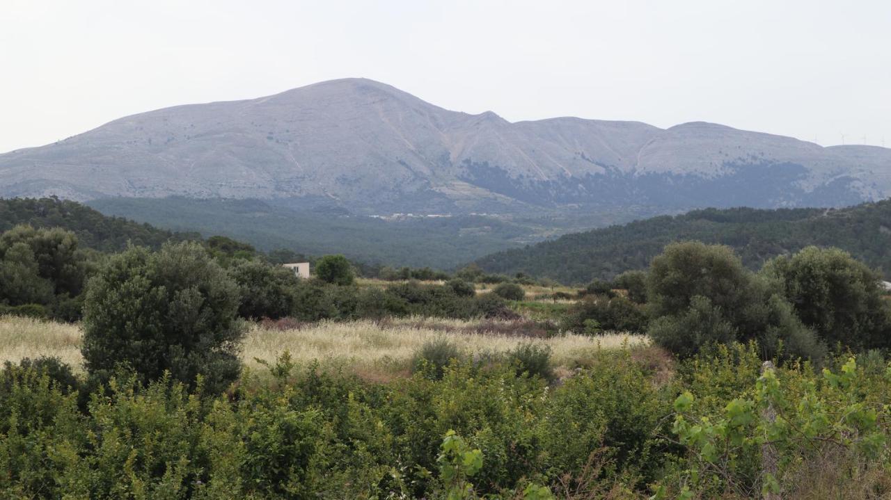 Echo Traditional House - Ηχώ Παραδοσιακό Σπίτι Émbonas Eksteriør bilde